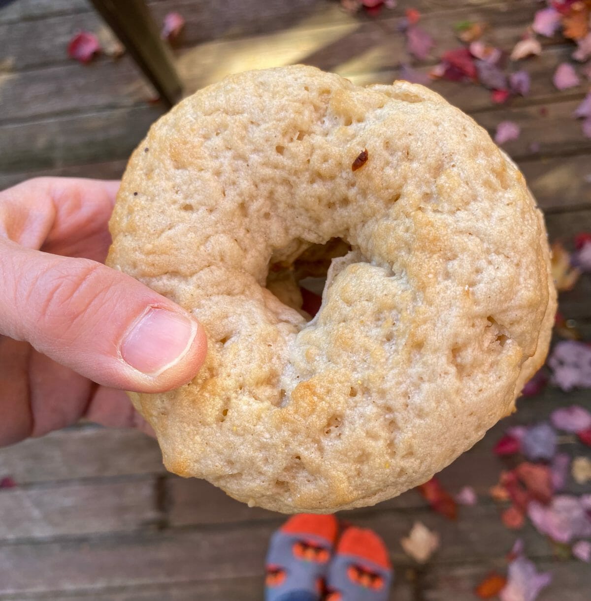 Best GlutenFree Bagels EVER Bagels Plus GlutenFree New England