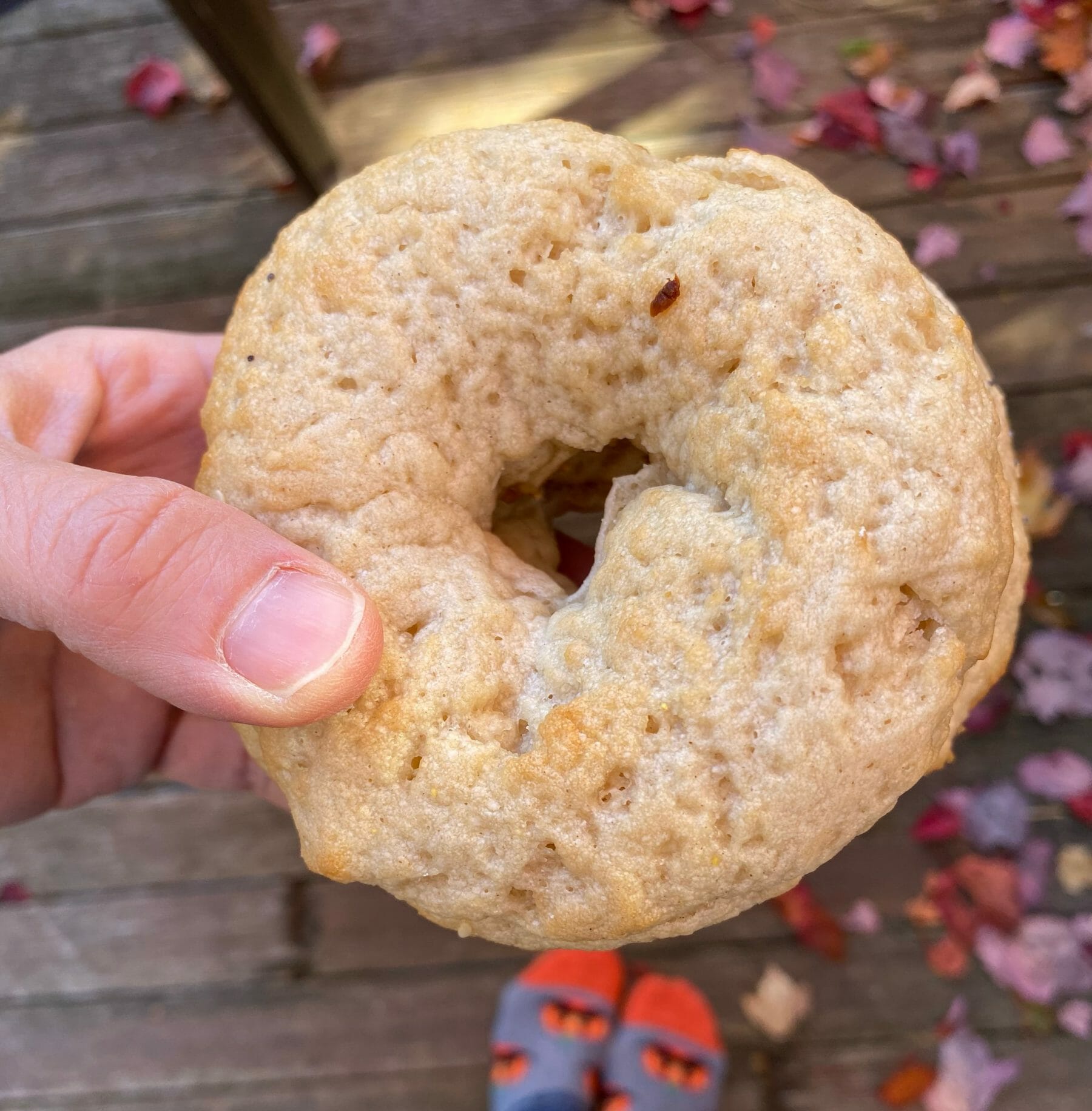 Best GlutenFree Bagels EVER Bagels Plus GlutenFree New England